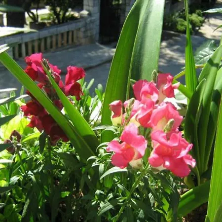 Elelu - One-bedroom With Terrace 公寓