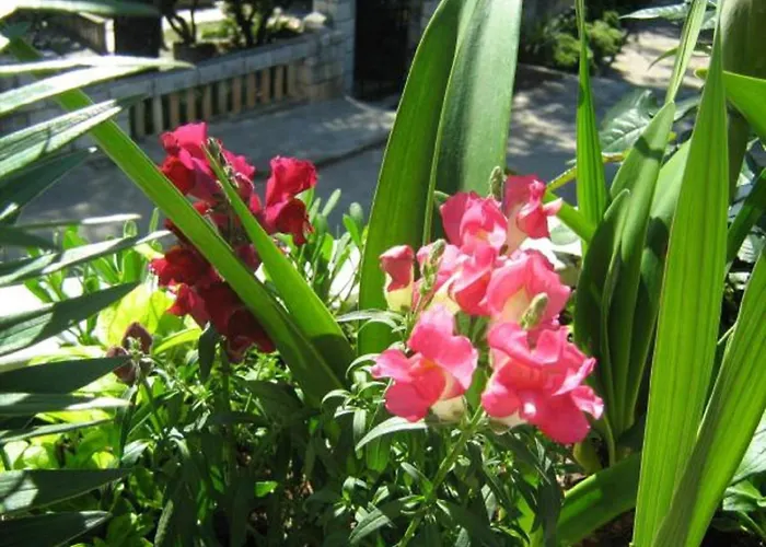 Elelu - One-bedroom With Terrace Apartament